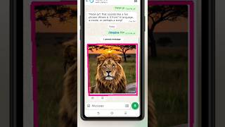 How to Generate &amp; Animate Image in WhatsApp Mata Ai
