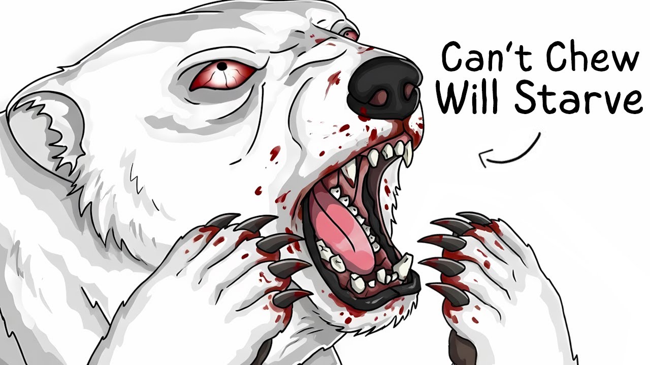 Why it Sucks To Be Born As a Polar Bear