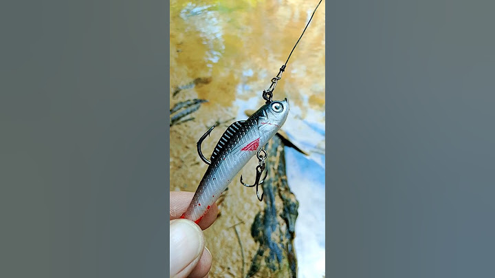 How to properly set up fishing lure #fishing #lure #lurefishing #tips