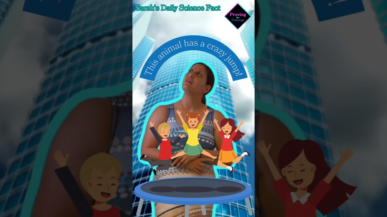 This animal has a crazy jump!