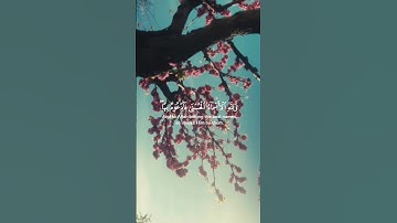 ولله الأسماء الحسنى فادعوه بها | عبد الباسط عبد الصمد كروما شاشة سوداء قرآن كريم #كرومات_قرآنQuran