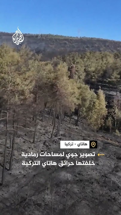          
 - نشر قبل 6 دقيقة