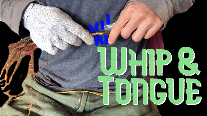 Grafting Apples with Akiva - Whip and Tongue