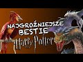 TOP 10 najpotężniejszych MAGICZNYCH STWORZEŃ ze świata POTTERA