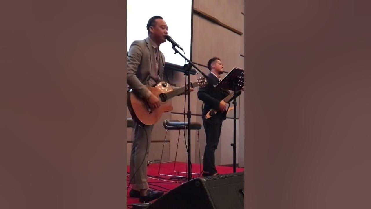 Wild World by Cat Stevens | Cover #wildworld #catstevens