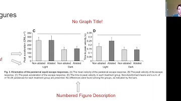 How to Write a Lab Report