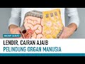 Ini Mengapa Lendir ada dalam Tubuh Manusia | Hidup Sehat Mp3 Song