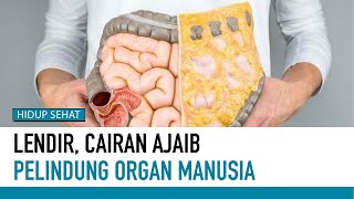 Ini Mengapa Lendir ada dalam Tubuh Manusia | Hidup Sehat