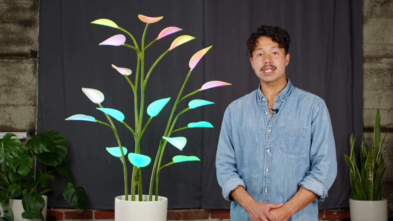 Fluora: Troubleshooting