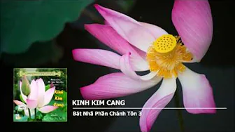 Bát Nhã Phần Chánh Tôn 2 