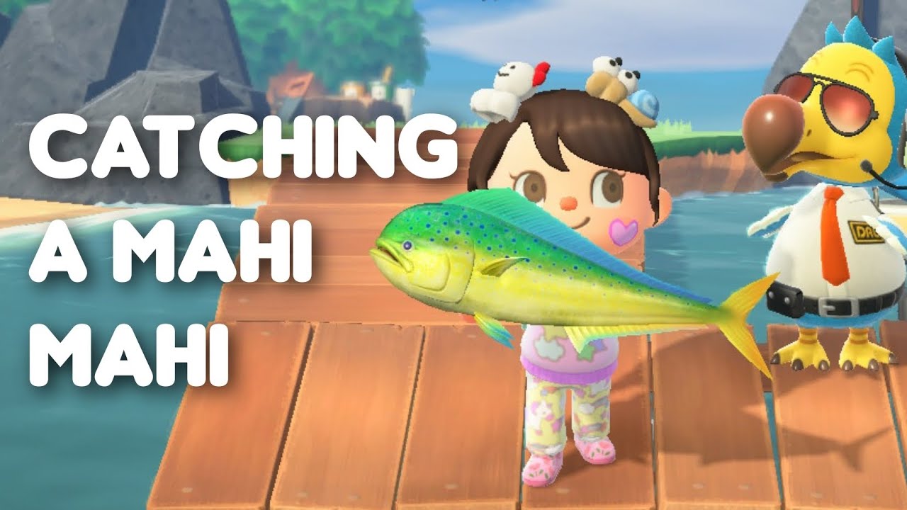 catching a mahi mahi in ACNH YouTube