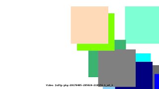 Video #sftp-pkg-20170405-205024-219574-1_of_1