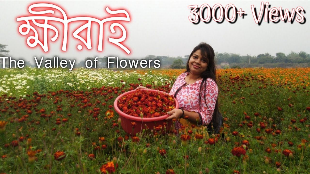 Khirai, Valley Of Flowers, Panskura ক্ষীরাই ভ্রমণ Weekend Tour