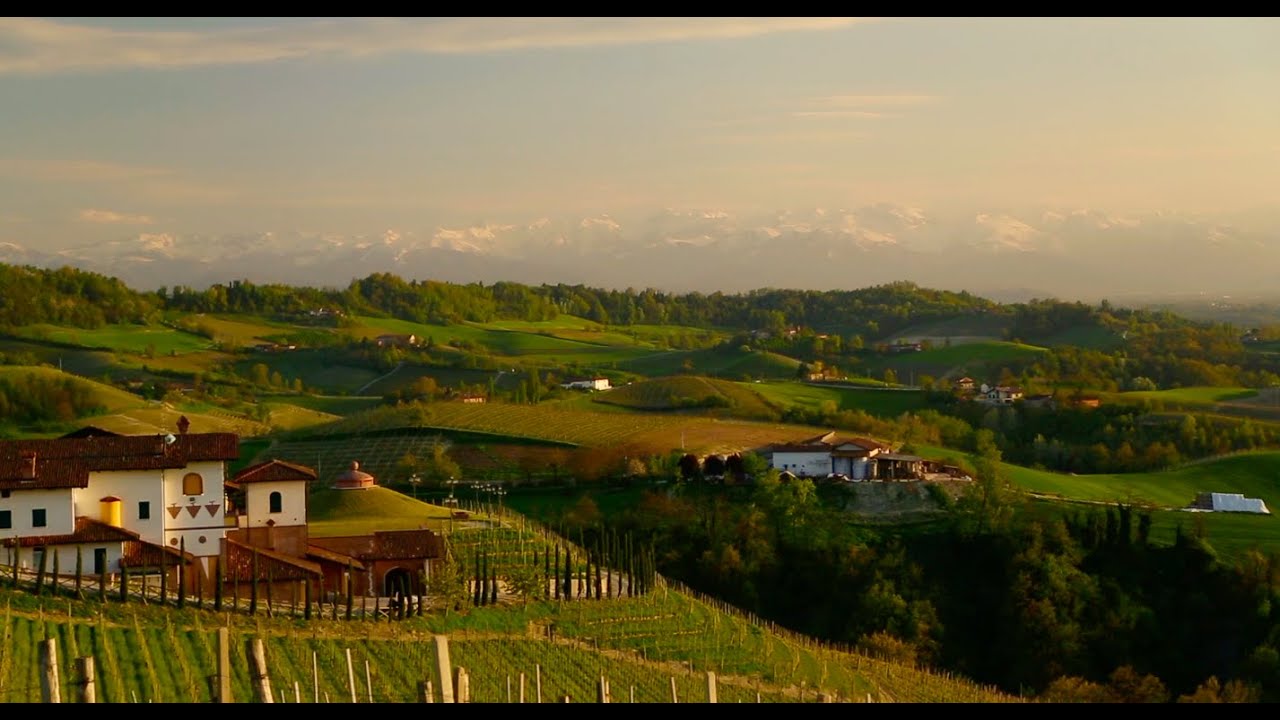 The Omnipresence of Love in Manuel Puig's "Kiss of the Spider Woman"