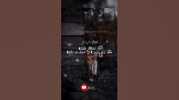 سورة الكوثر/. #ياسر_الدوسري   #اكسبلور #لايك #اكسبلورهاشتاقات #quran #المصحف #foryou #duet