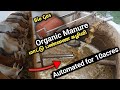 Preparing organic fertilizer from 40cows    automatic method  best farmer