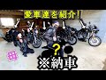 5台の愛車を紹介します！そして、また1台納車されました....ｗｗｗ【バイク女子】