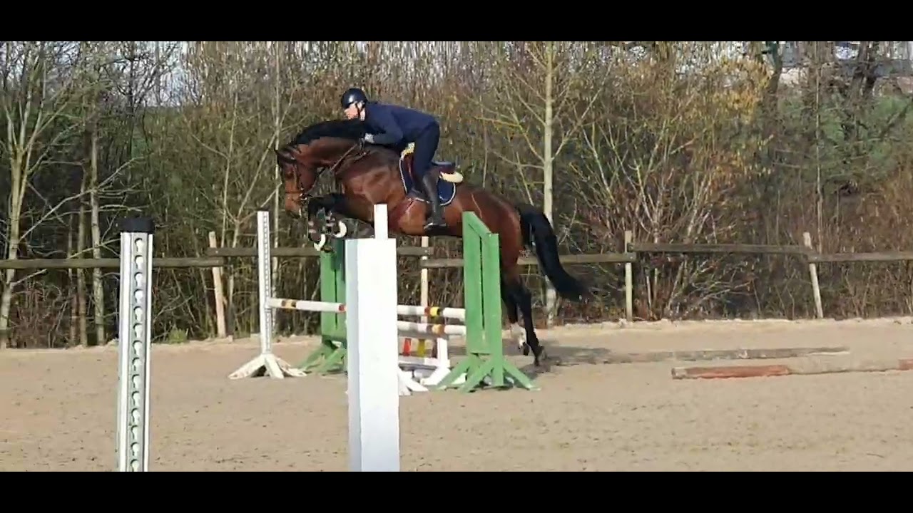 Notting Hill Stallion 2023 Obolensky YouTube