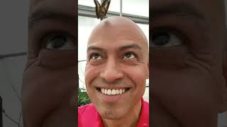 Download Lagu Te Amo/ I love you is een nieuw nummer van Jorge Gallardo 2025 MP3