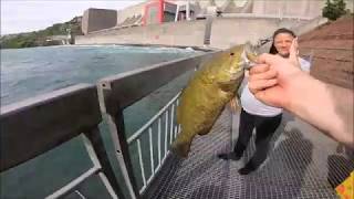 Fishing below Niagara falls!!! (nypa fishing platform)