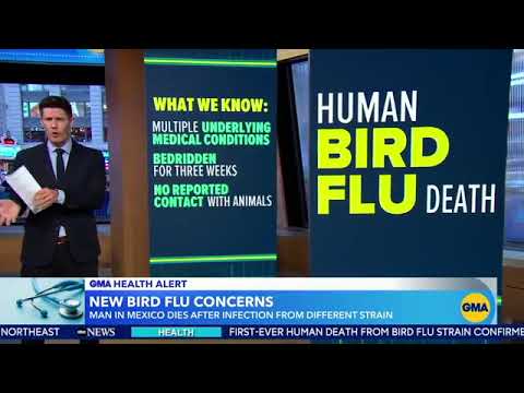 1st fatal human case of bird flu subtype confirmed in Mexico: WHO
