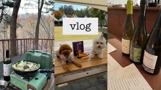 vlog) 일상 브이로그. 네추럴 와인바 에이커. 성수동 카페 플디. 마뗑킴 숏패딩. jaeshin 팬츠. 애견동반캠핑 햇살가득애견캠핑장. 남양주 애견카페.