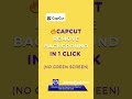CapCut Remove Background in 1 Click (No Green Screen)