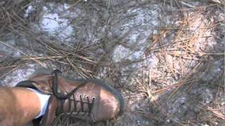 Large Southern Sasquatch Print Found In Green Swamp