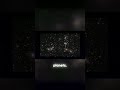 A Universe in a Grain of Sand