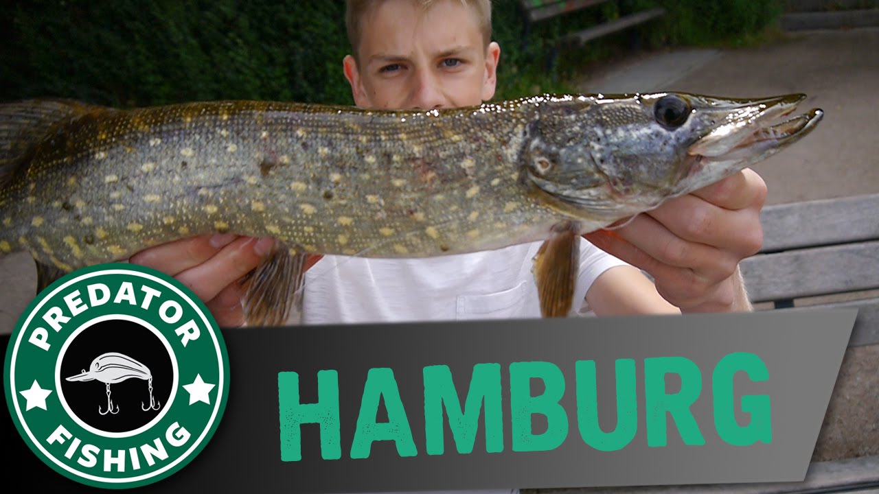 hamburg fishing tour