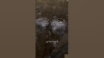 🤍✨. #قرآن #سورة_النجم #قران_كريم #قران