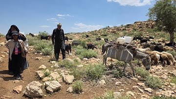 In the heart of nature with nomads: family travel, sheep migration and traditional food