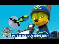 パウ・パトロール | パウ・パトロール：スーパースパイ・チェイス出動！🔍 ライダーと | 90分 | テレビ東京系にて放送中