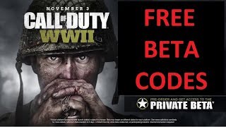 HOW TO GET INTO THE COD WWII BETA FREE