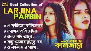 Best Collection of Larjina Parbin | 😭Bangla Sad Songs😭 | Larjina Parbin | ‎@T-MusicGroup2.0  #song