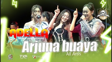Arjuna buaya   -  All Artis ❖ THE BIG FAMILY  KANXEL COMUNITYKANXEL