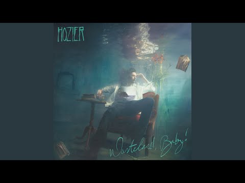 Hozier - Moment's Silence (Common Tongue)