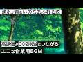 作業用BGM - 津南町 龍ヶ窪 | 湧水が育むいのちあふれる森【睡眠/勉強/集中】