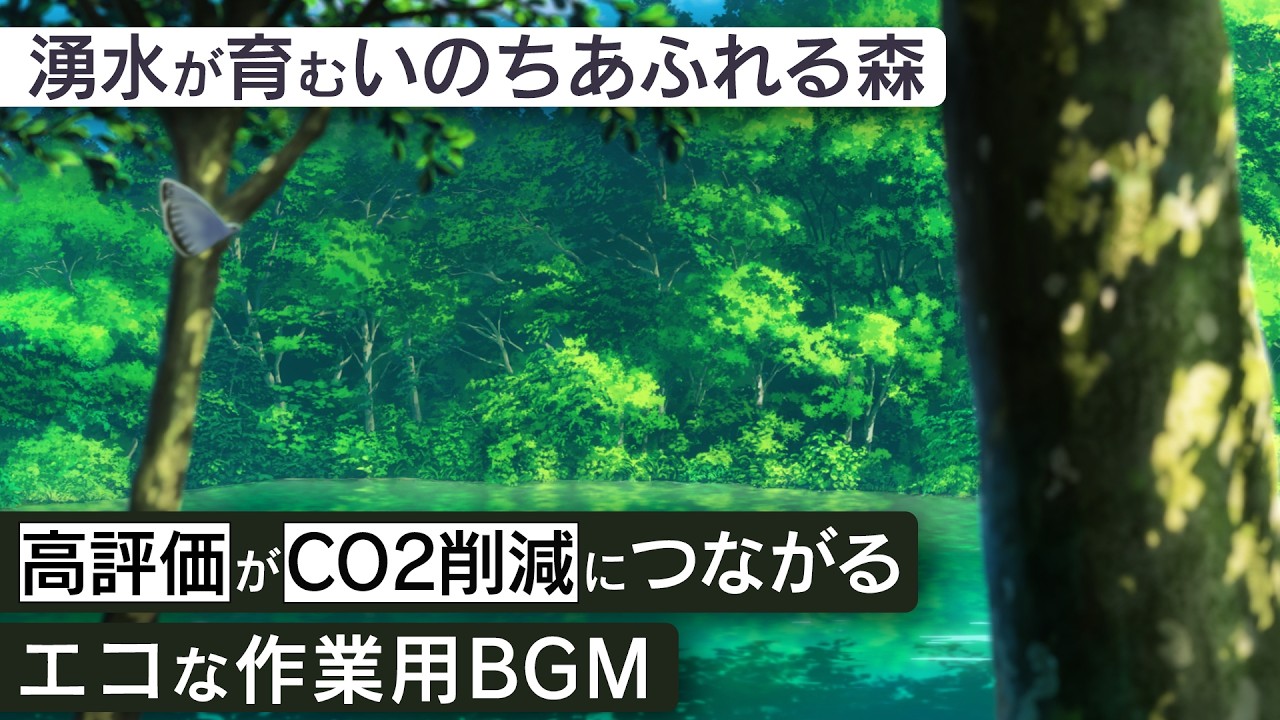 作業用BGM - 津南町 龍ヶ窪 | 湧水が育むいのちあふれる森【睡眠/勉強/集中】