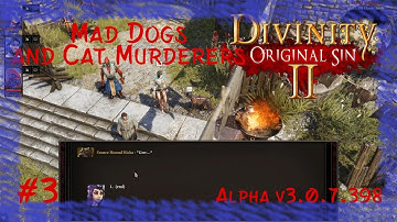 Divinity: Original Sin 2 - Mad Dog & Cat Murderers [S1P3] alpha pc gameplay