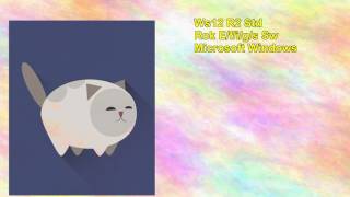 Ws12 R2 Std Rok Efigs Sw Microsoft Windows