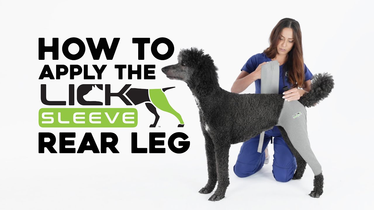 Lick Sleeve: Wearable Dog Leg Protection, Sure-fit Design