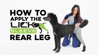 How To Apply the Lick Sleeve on the Rear Leg