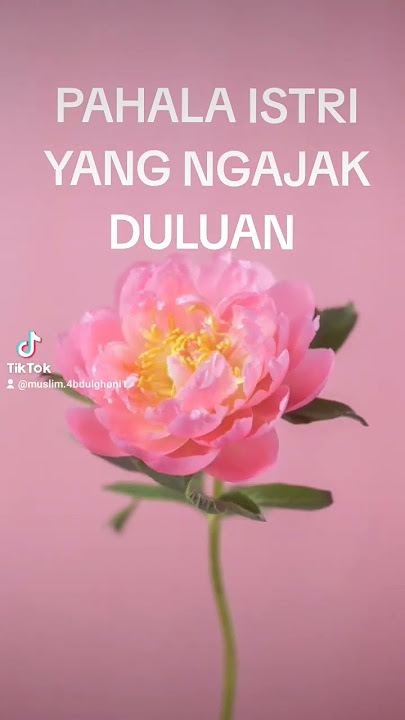 PAHALA ISTRI YANG NGAJAK DULUAN