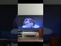 A cute little Entanglement. #disney #tangled 💯