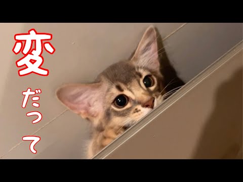 僕の寝相…変だって…❣️【ソマリ】