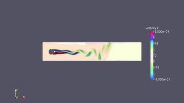 Vorticity Simulation - Finite Element Analysis