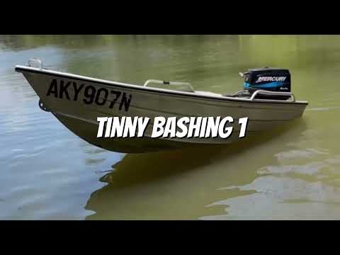 Tinny bashing 1