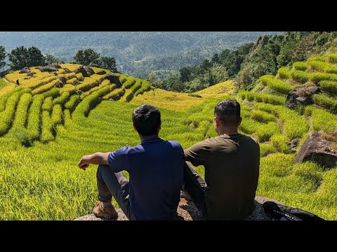 [4k] Terrace farming in Mawdoh Village (Meghalaya,India)  I 2160p 60fps I