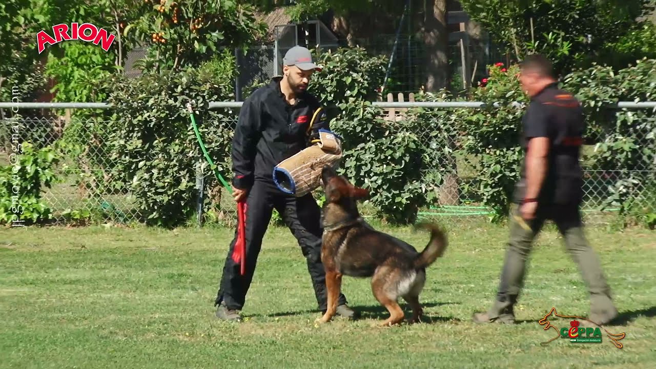 FIGURANTE CARLOS MERINO